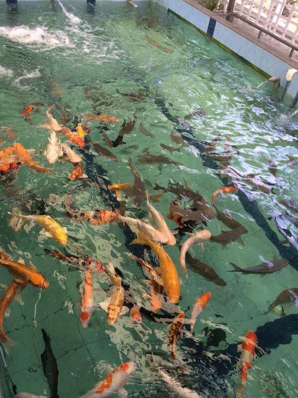 5 Mini Zoos In Selangor That Are Just As Fun As The Big Ones