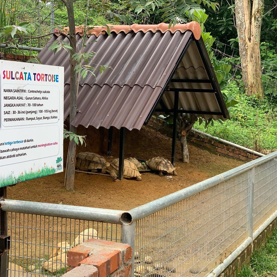 5 Mini Zoos In Selangor That Are Just As Fun As The Big Ones