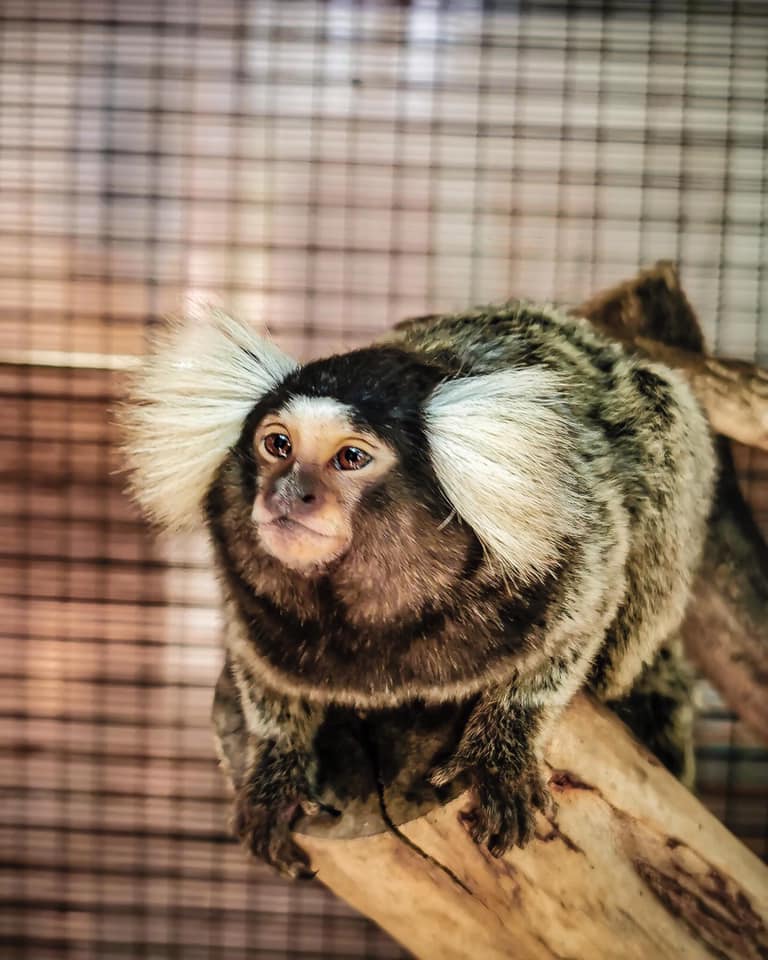 5 Mini Zoos In Selangor That Are Just As Fun As The Big Ones