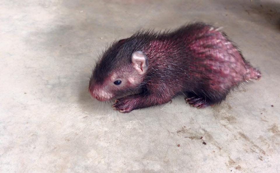 5 Mini Zoos In Selangor That Are Just As Fun As The Big Ones
