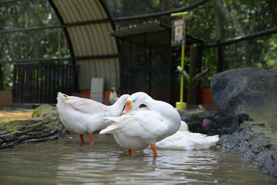 5 Mini Zoos In Selangor That Are Just As Fun As The Big Ones