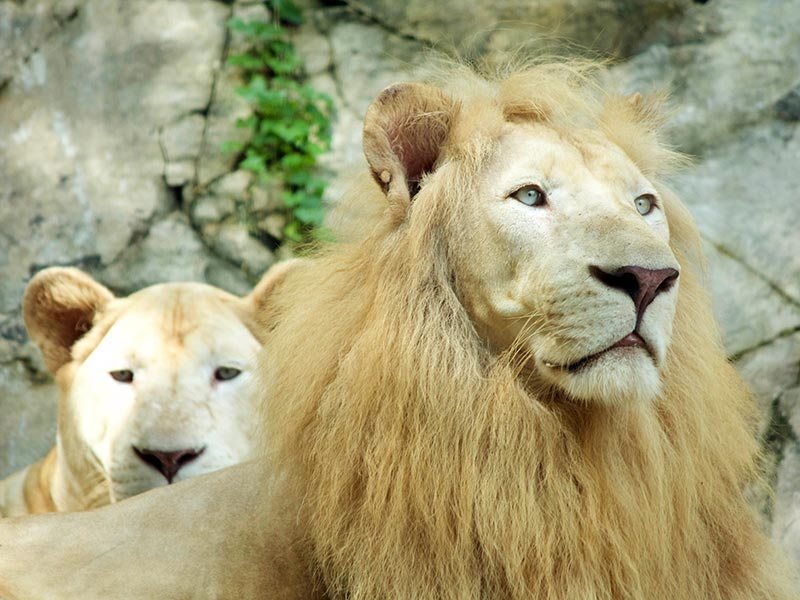 5 Mini Zoos In Selangor That Are Just As Fun As The Big Ones