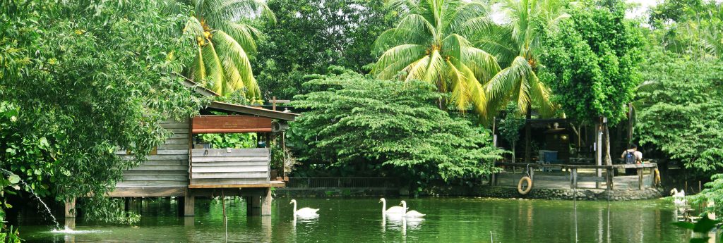 5 Mini Zoos In Selangor That Are Just As Fun As The Big Ones