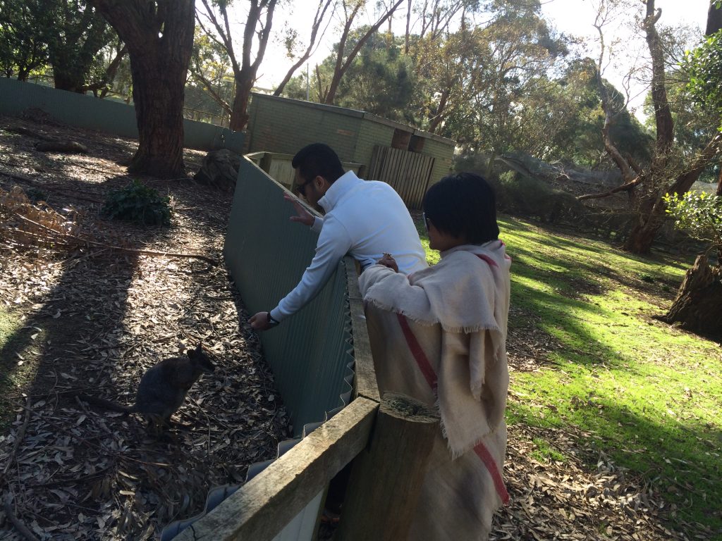 Travel Diary: I Miss Travelling Even More Coz Of This Melbourne Trip