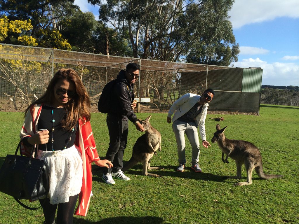 Travel Diary: I Miss Travelling Even More Coz Of This Melbourne Trip