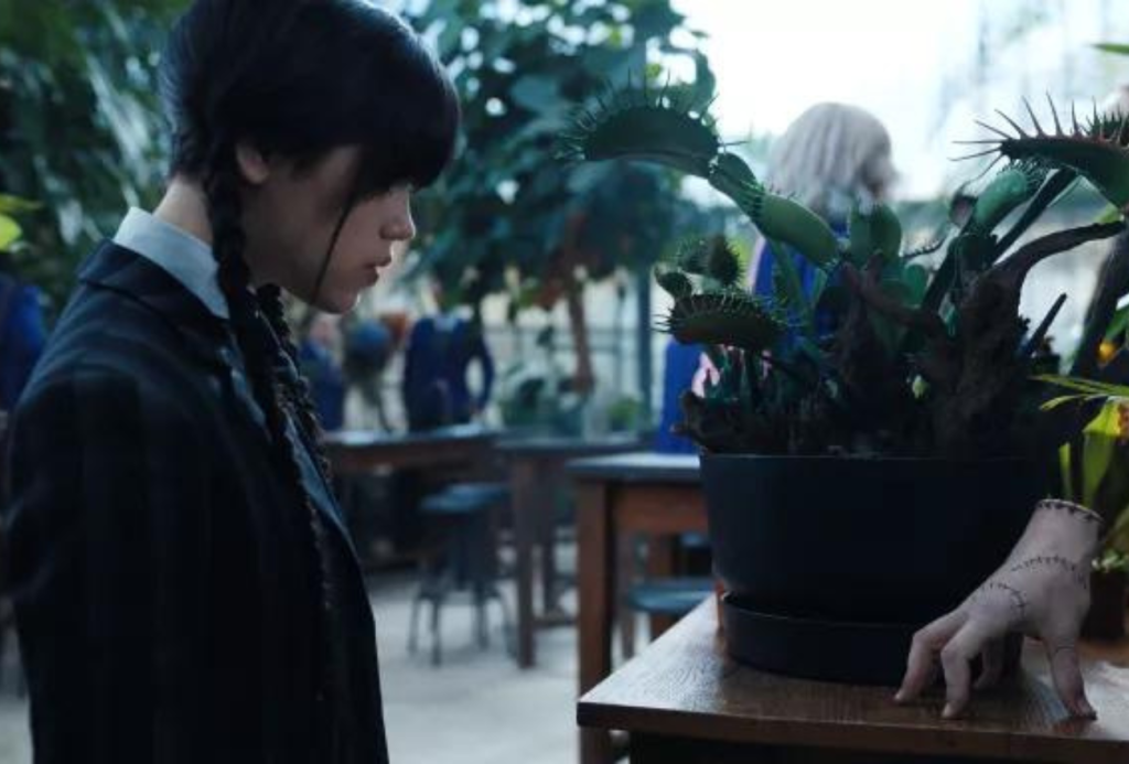 Wednesday at the greenhouse. Source from Netflix.