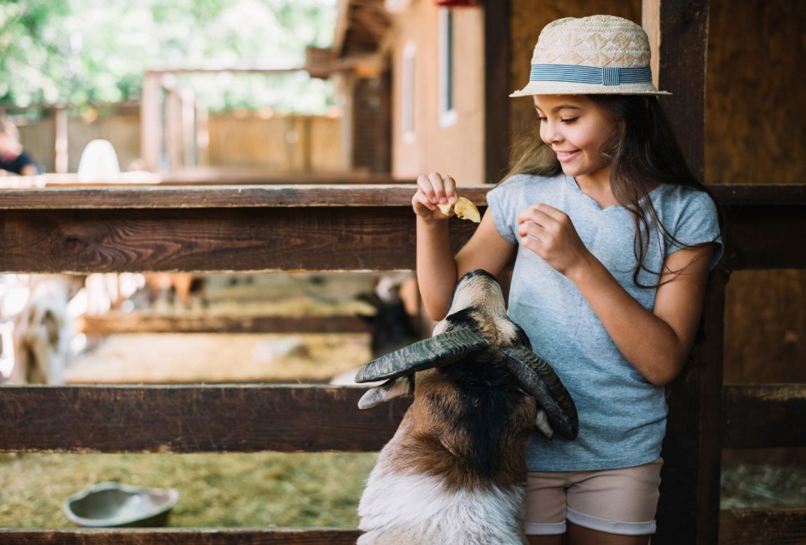 5 Mini Zoos In Selangor That Are Just As Fun As The Big Ones
