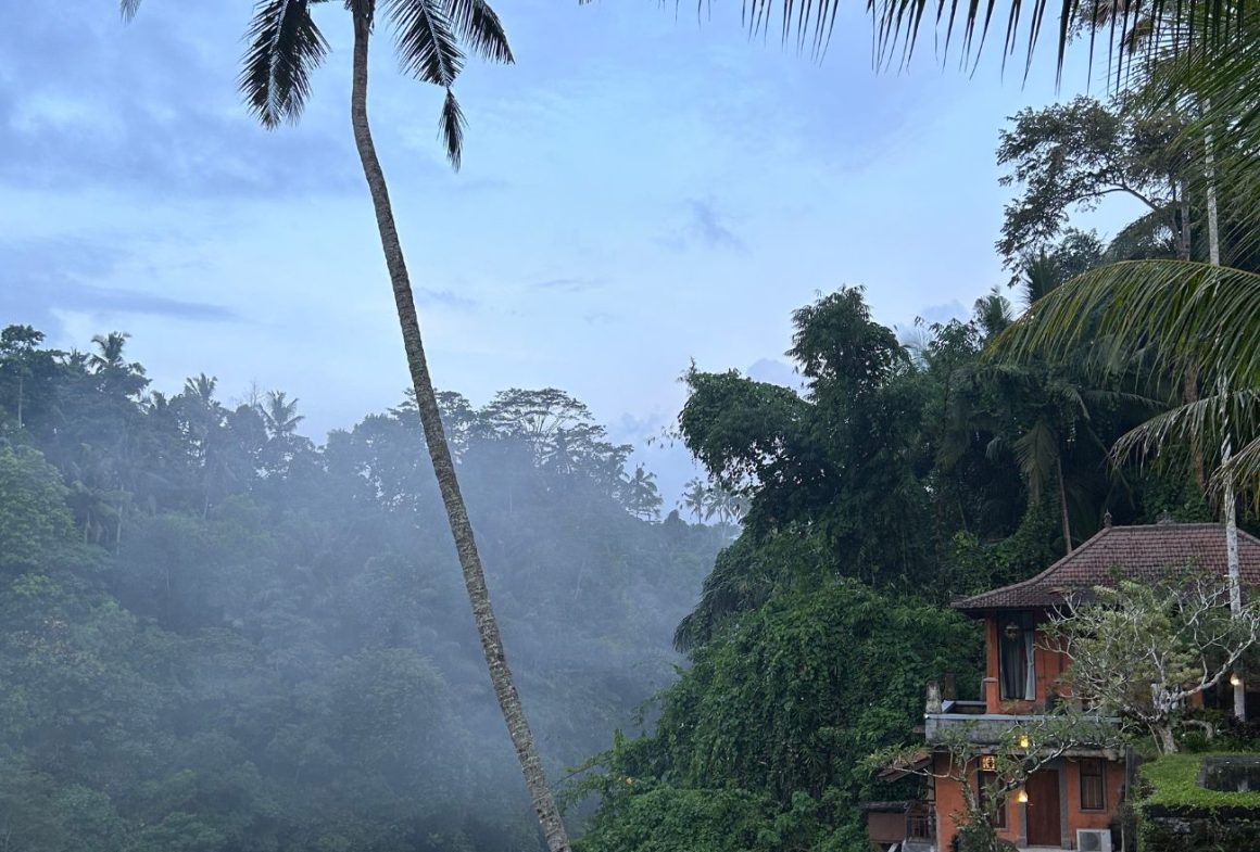 Ulun Ubud Resort & Spa Terraced View