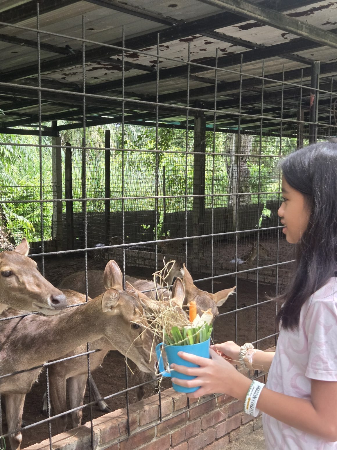 6 Mini Zoos In Selangor That Are Just As Fun As The Big Ones