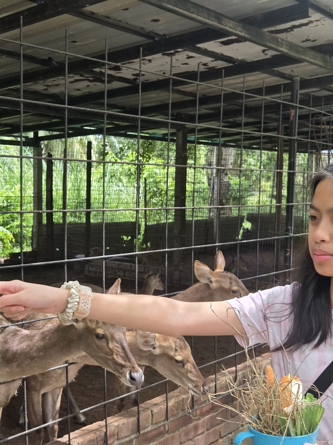 6 Mini Zoos In Selangor That Are Just As Fun As The Big Ones
