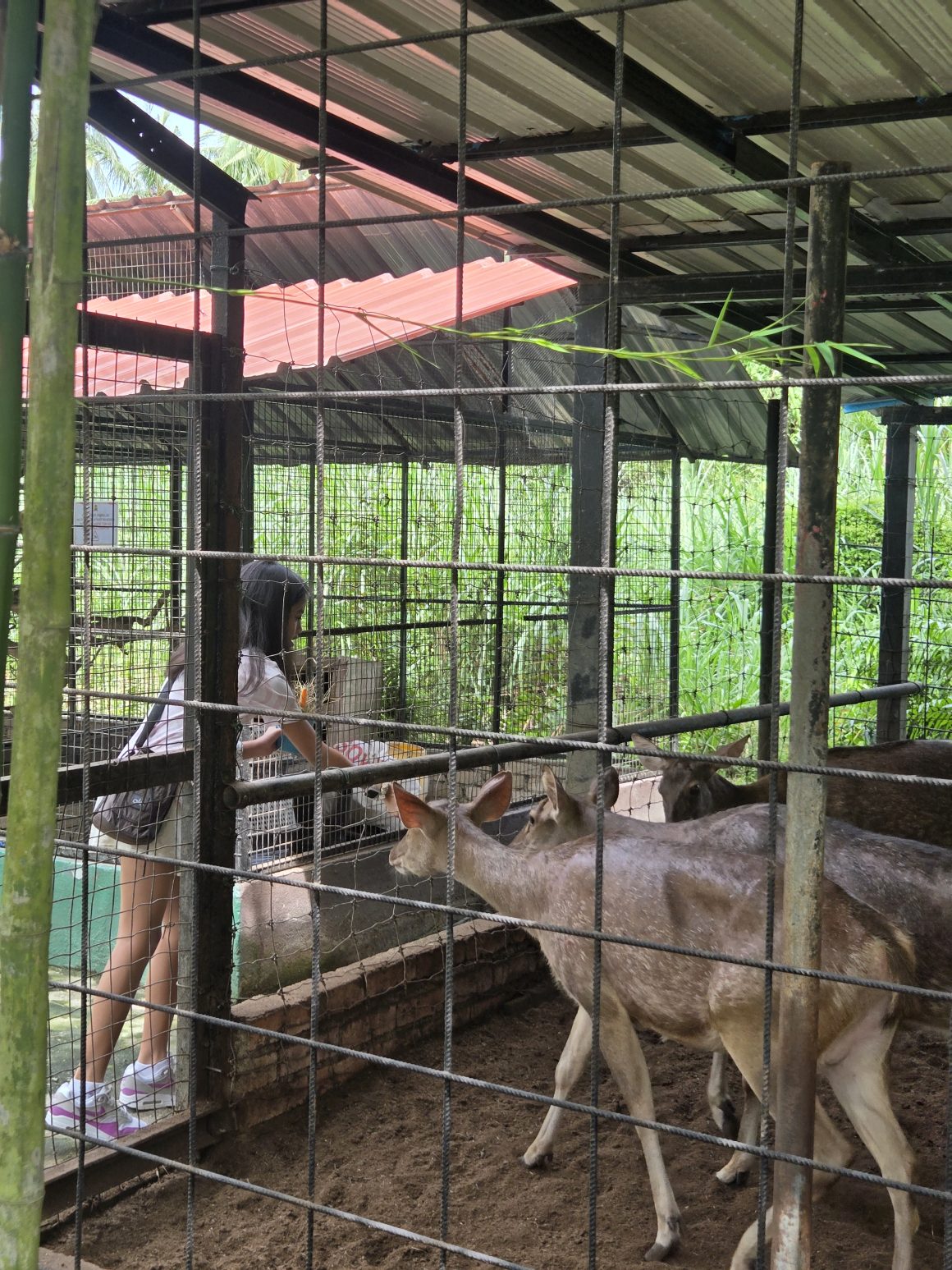 6 Mini Zoos In Selangor That Are Just As Fun As The Big Ones