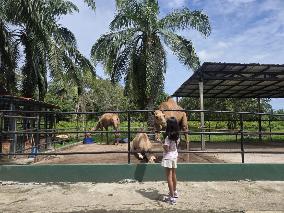 6 Mini Zoos In Selangor That Are Just As Fun As The Big Ones