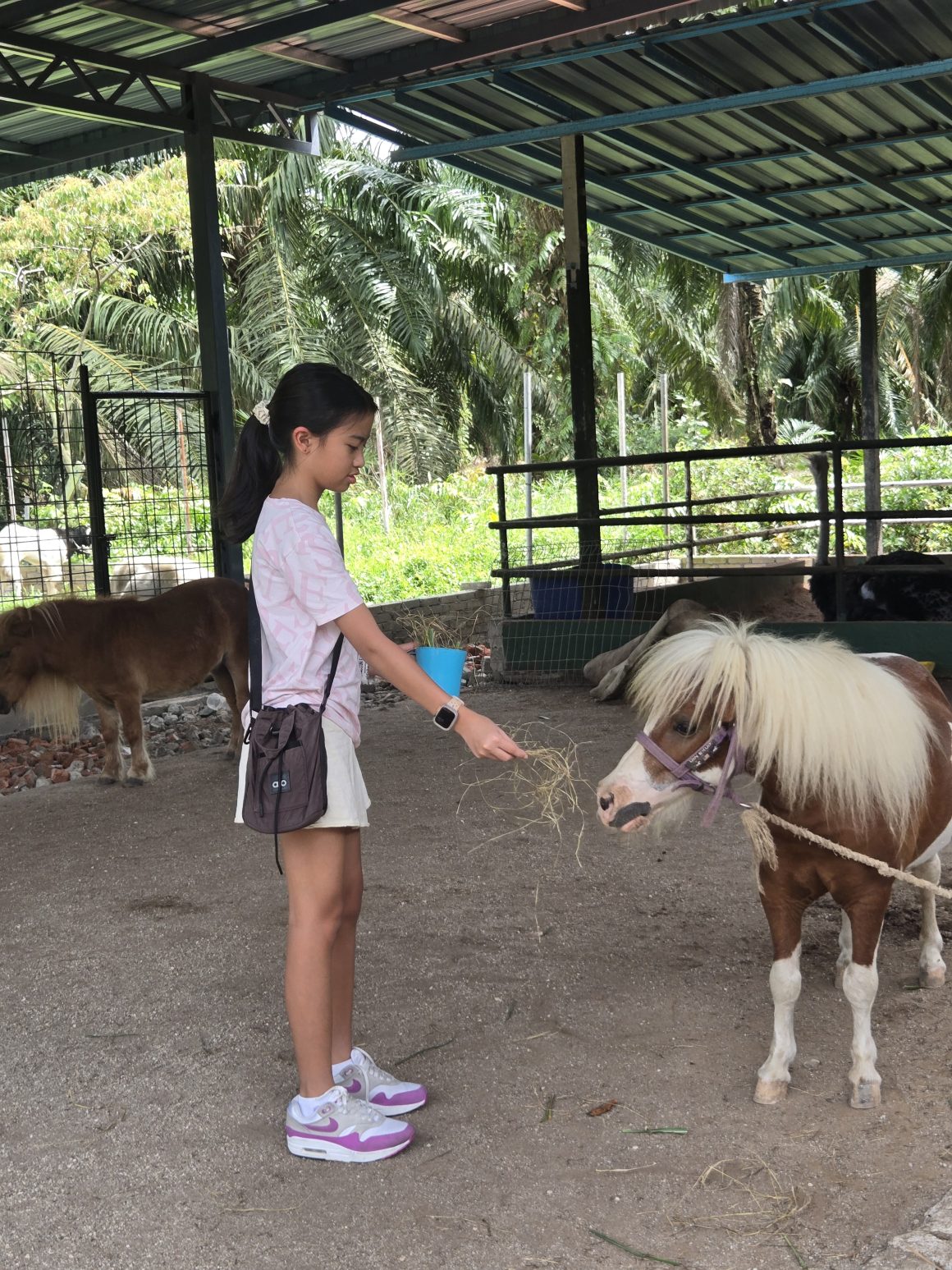 6 Mini Zoos In Selangor That Are Just As Fun As The Big Ones