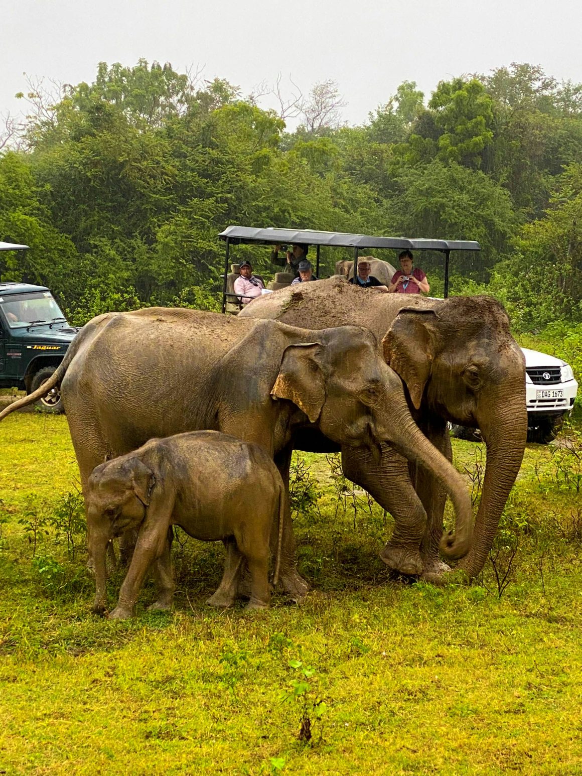 Sri Lanka